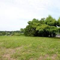 千葉市中央区の国史跡　月ノ木貝塚で追加指定　国の文化審議会