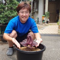 世界一臭い花「ゾウコンニャク」咲いた！　市原の高３が栽培　強烈な腐敗臭も…貴重な開花「うれしい」
