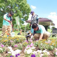 市原高生、ＳＡに彩り　校内で育てた花を植栽
