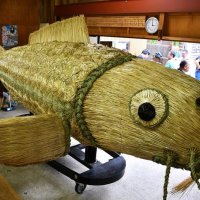 山車飾りの鯉５年ぶり新調　１２日開幕　大祭で金色の姿披露　香取・八日市場区　制作２カ月完成までの歩み