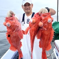 太東、メヌケ狙える　木更津、シロギス好調　【今週の釣果】