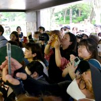 ファン祝福「来年もくるね」　昼食に特製ケーキ　風太２１歳誕生日　千葉市動物公園
