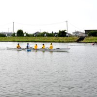 黒部川で５６チーム熱戦　香取市民レガッタ