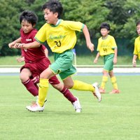 ８チーム決勝Ｔへ　フジノ杯争奪ジュニアサッカー