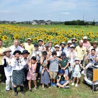 福島復興支援の黄色い大輪　遊休農地にヒマワリ畑　匝瑳