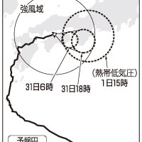 （共同）