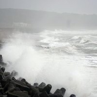 台風７号　千葉県全域に暴風・波浪・大雨洪水警報の可能性大　西側通過なら「房総半島台風に匹敵も」　発達しながら１６日に千葉最接近へ