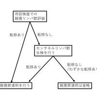 リンパ節を限定摘出　合併症頻度下げる手法　早期乳がんの腋窩手術　千葉県がんセンター乳腺外科医員　山崎美智子【９月はがん征圧月間ちばがんにうち克つ】（１２）