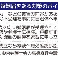 偽造婚姻届を巡る対策のポイント（共同）