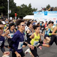 スタート地点を一斉に駆け抜けるランナー＝１０日、木更津市