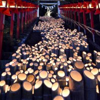 魅惑の竹灯籠５０００本　勝浦で「かぐやの宵」　神社や商店街ともす