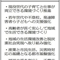 神谷氏公約の主な項目