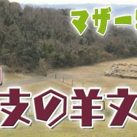 マザー牧場の羊文字、ついに１２支を一周　文字が作られる仕組みも　気になるあの記事を「ツイセキ！！」 　千葉日報×Ｊ：ＣＯＭコラボ第１６弾