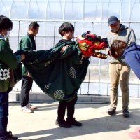 獅子に頭を下げ、息災を願う住民ら