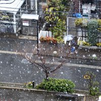 【動画あり】千葉県内で降雪、ひょうやあられも　真冬並み寒さ