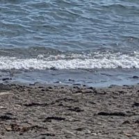 富津の砂浜に身元不明遺体　４０～６０歳ぐらいの男性、散歩中の女性が見つける
