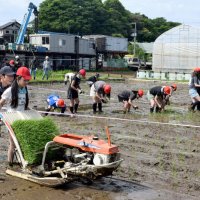 実りの秋楽しみに　船橋・高根小　全校児童が田植え