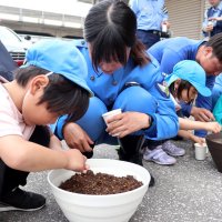 植木鉢に朝顔の種をまく園児と隊員ら