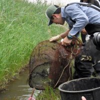 設置したわなを回収する県職員