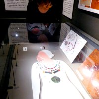 女性首長飾る副葬品公開　市原・大厩浅間様古墳　市文化財指定記念で　２５日まで、歴史博物館