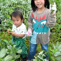 ソラマメを収穫し笑顔を見せる子どもら＝１８日、いすみ市