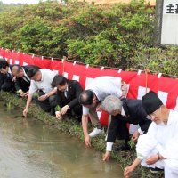 明治天皇ゆかり主基斎田　「お田植え祭」豊穣祈る　鴨川