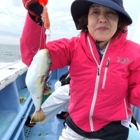 鹿島沖でゲットしたショウサイフグ（写真は「幸栄丸」提供）