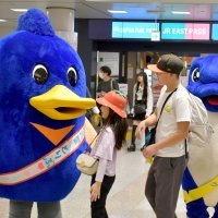 外国人不法就労防止へ　成田空港で呼びかけ