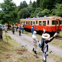 草刈り作業中に通りかかった小湊鉄道に手を振る参加者＝１４日、市原市月崎