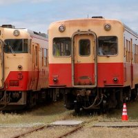 体験会参加者の運転で進行するキハ２００形

