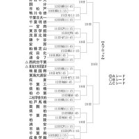 Ａブロック見どころ　強豪集まる激戦区　第１０７回全国高校野球　千葉大会