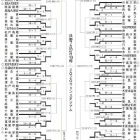 １９日から熱戦再開　第１０７回全国高校野球　千葉大会