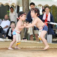 大声援力比べに境内活気　山車引き回し、踊り共演も　東庄「笹川相撲まつり」