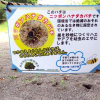 砂場へ立ち入らないよう求める掲示＝市原市（板橋さん提供）
