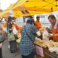 旬の落花生を求める来場客でにぎわう「やちまた落花生まつり」＝１４日、八街市