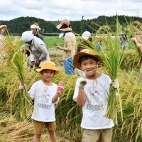 田植えにも参加し、初めて稲刈り体験した子どもたち＝２０日、多古町