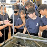 県立大原高栽培実習場で海の生き物について学習する御宿中１年生＝勝浦市