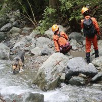 キャンプ場付近の川で、災害救助犬を使って行われる行方不明の女児の捜索＝１９年９月２４日、山梨県道志村（共同）