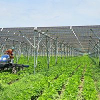 畑の上で太陽光発電　売電収入、地域に還元　ＴＥＲＲＡ（匝瑳市）　【ちばの元気企業】