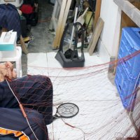太海エビ網組合で使用している綿糸網