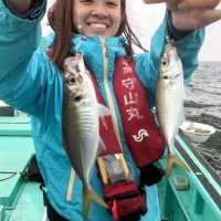 木更津沖で釣り上げたアジ（写真は「守山丸」提供）
