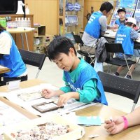 貝殻を使ったフォトフレームを作る親子ら
