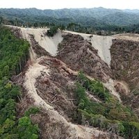 【速報】鴨川メガソーラー、未許可の森林で伐採　工事、一時停止に