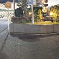 背中刺され致命傷か　死因は出血性ショックと推定　脇腹の傷も肝臓に達す　松戸路上殺人事件