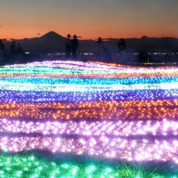 夕景と共演、幻想世界　マザー牧場イルミネーション
