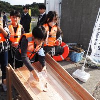 豊かな海で大きく育って　マダイ稚魚放流　富津・大貫小児童　