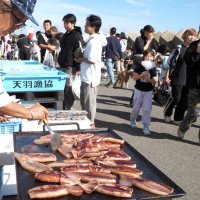 富津シーサイドマルシェ　海の幸求めにぎわい