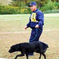 ５８匹挑戦、新科目も　鼻生かし捜索、嘱託警察犬審査　千葉市