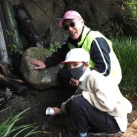 ホタル飛ぶ公園に　児童、住民と一緒に幼虫放流　君津　