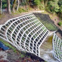 睦沢の天然記念物　「妙楽寺の森」復旧完了　大雨で崩れた斜面保全　新年前に住職安堵